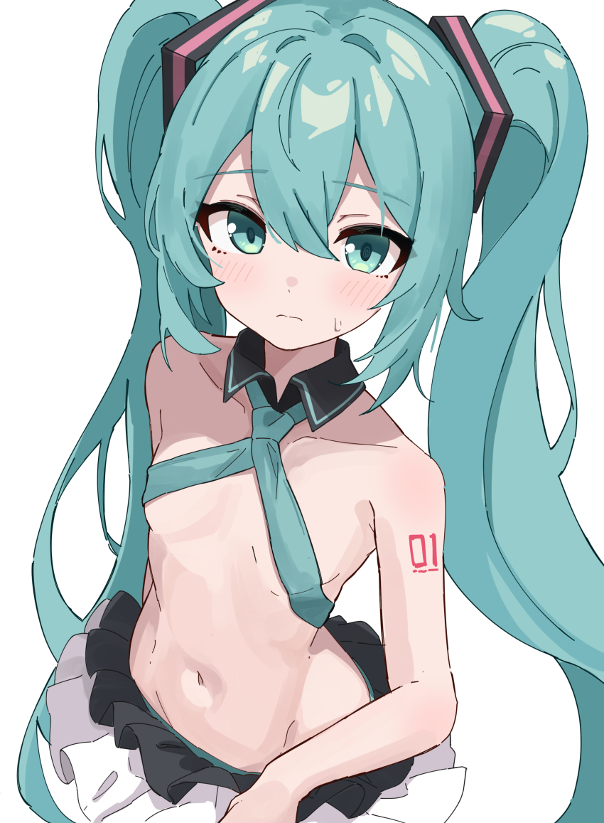 Hatsune Miku (Vocaloid) Rule 34 Image