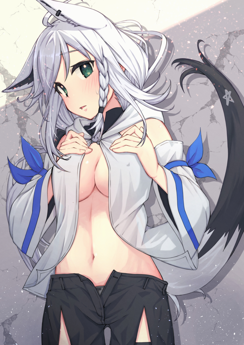 Shirakami Fubuki (Hololive) Rule 34 Image