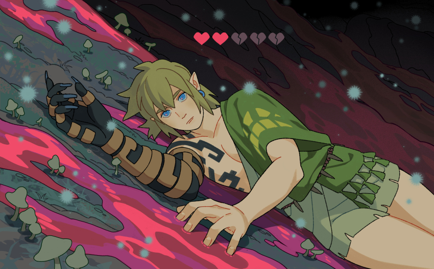 Link (Nintendo) Rule 34 Image