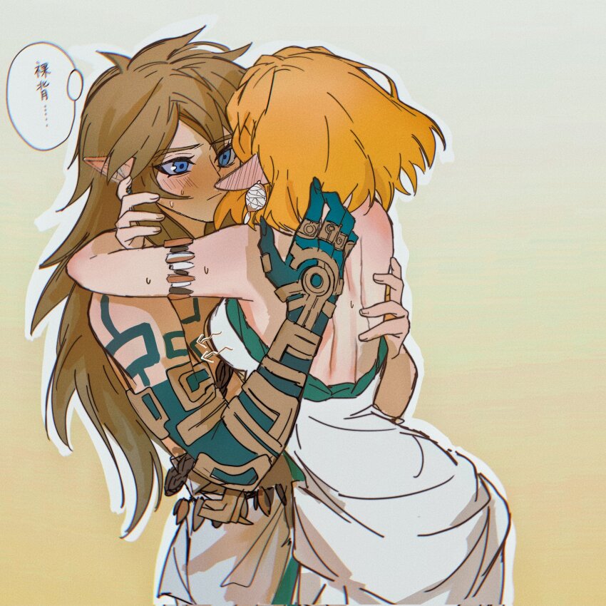 Link (Nintendo) Rule 34 Image