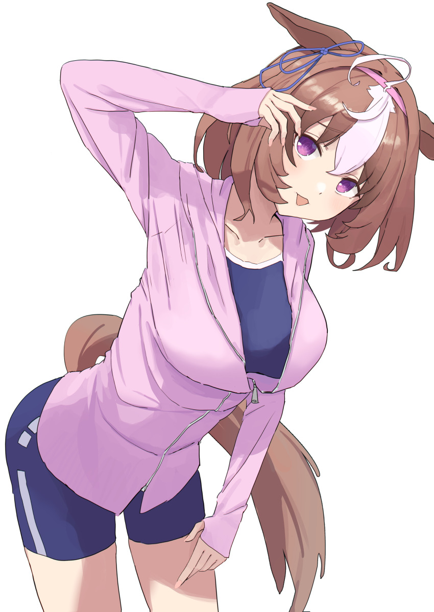 Meisho Doto (Umamusume) Rule 34 Image