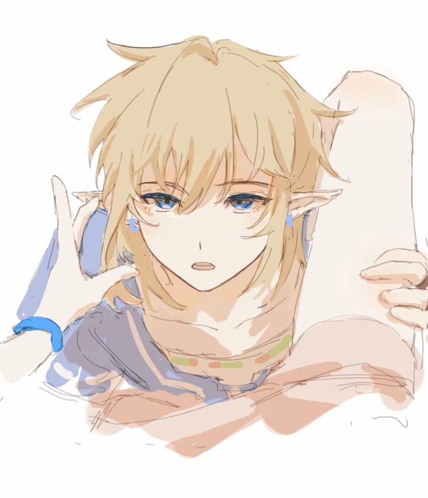 Link (Nintendo) Rule 34 Image