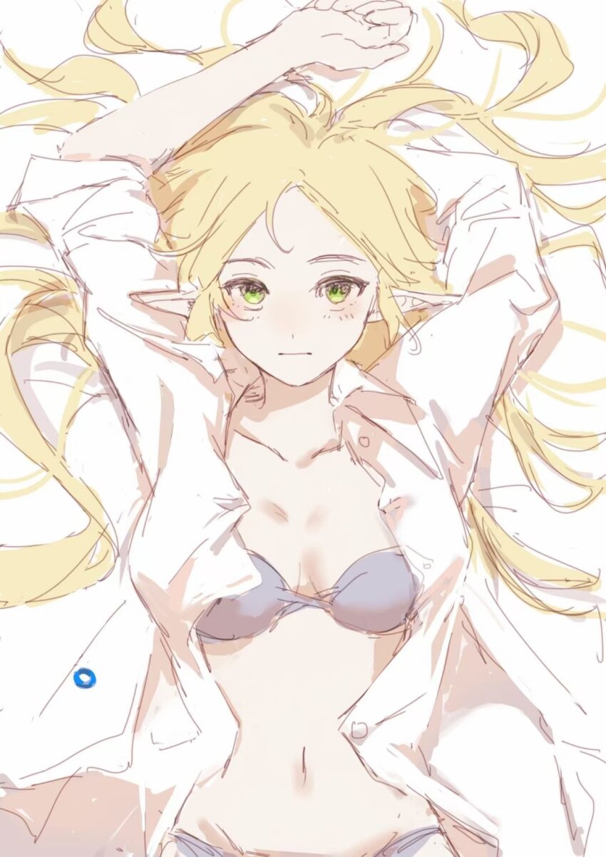 Princess Zelda (Nintendo) Rule 34 Image