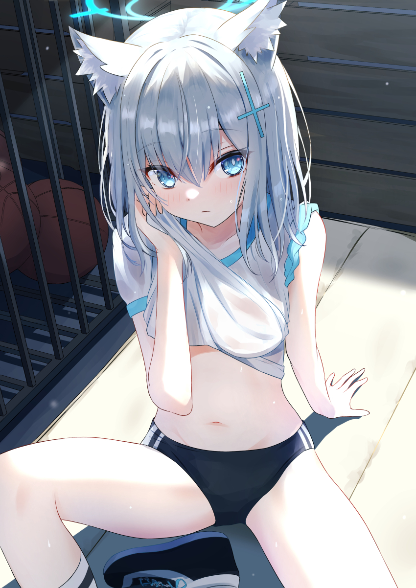 Shiroko (Blue Archive) Rule 34 Image