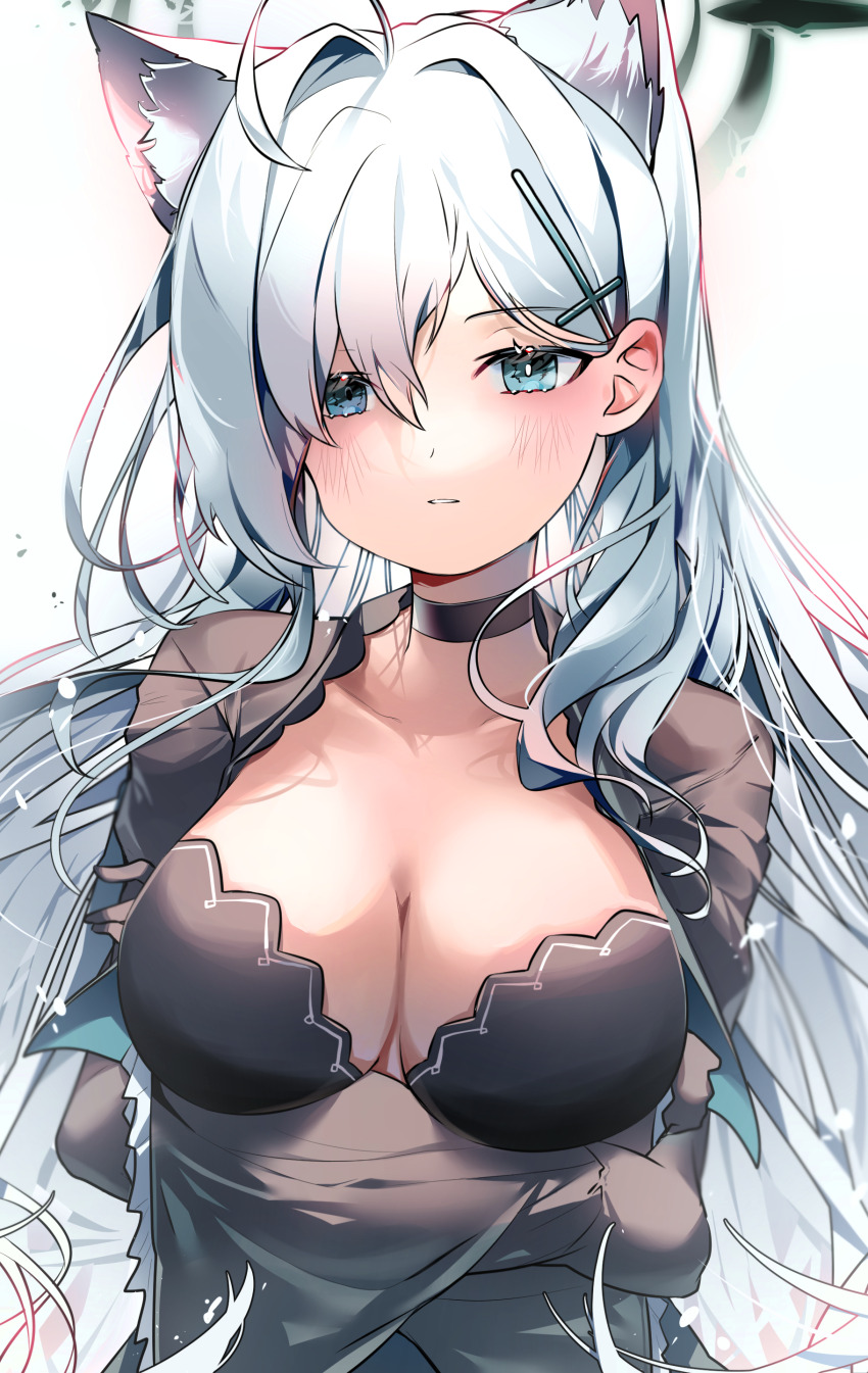 Shiroko Terror (Blue Archive) Rule 34 Image