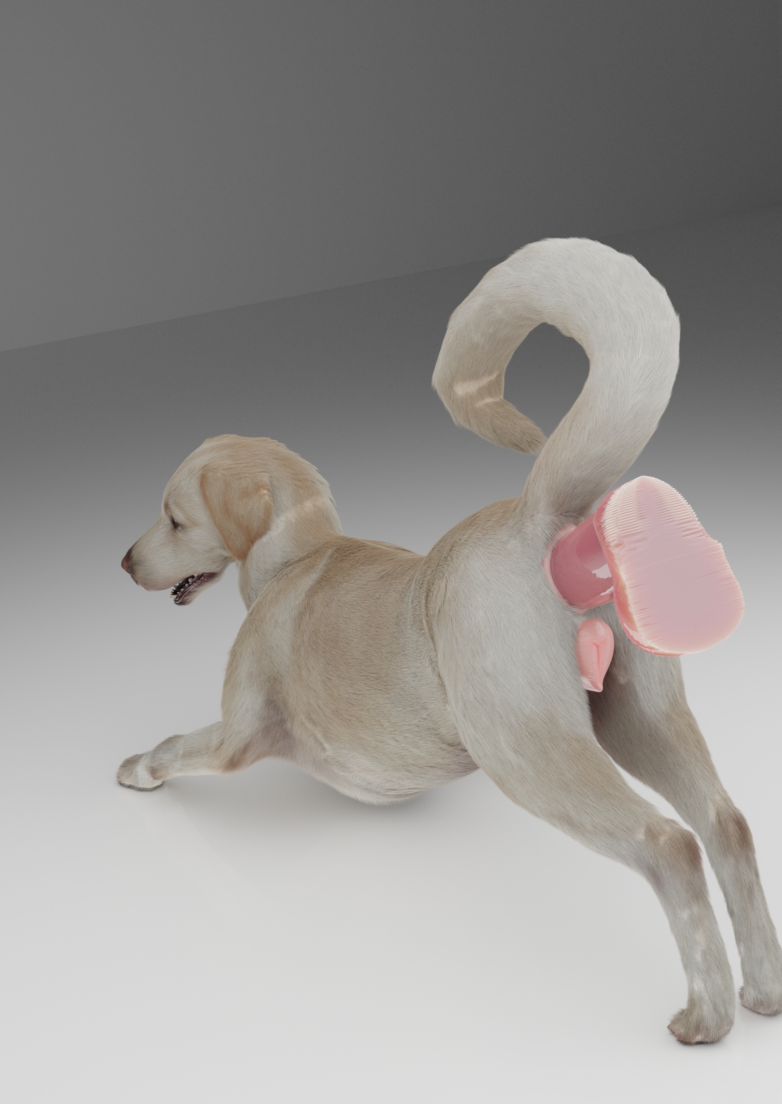 3d Rule 34 Image