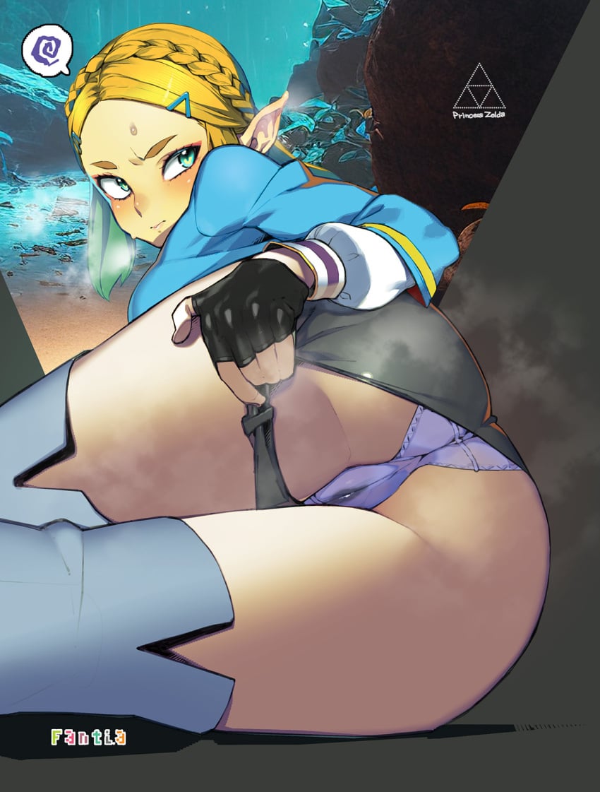 Princess Zelda (Tears Of The Kingdom) Rule 34 Image
