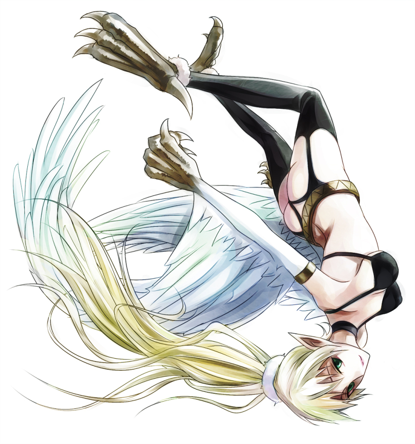 Harpie Dancer Rule 34 Image
