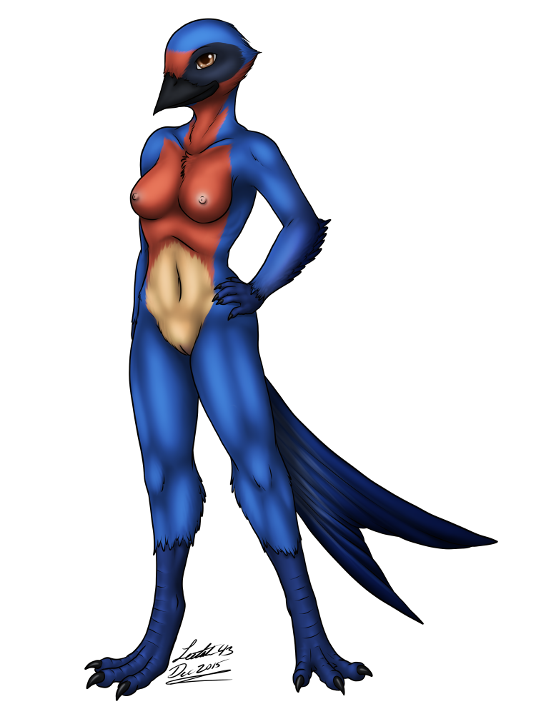 Swallow (Bird) Rule 34 Image