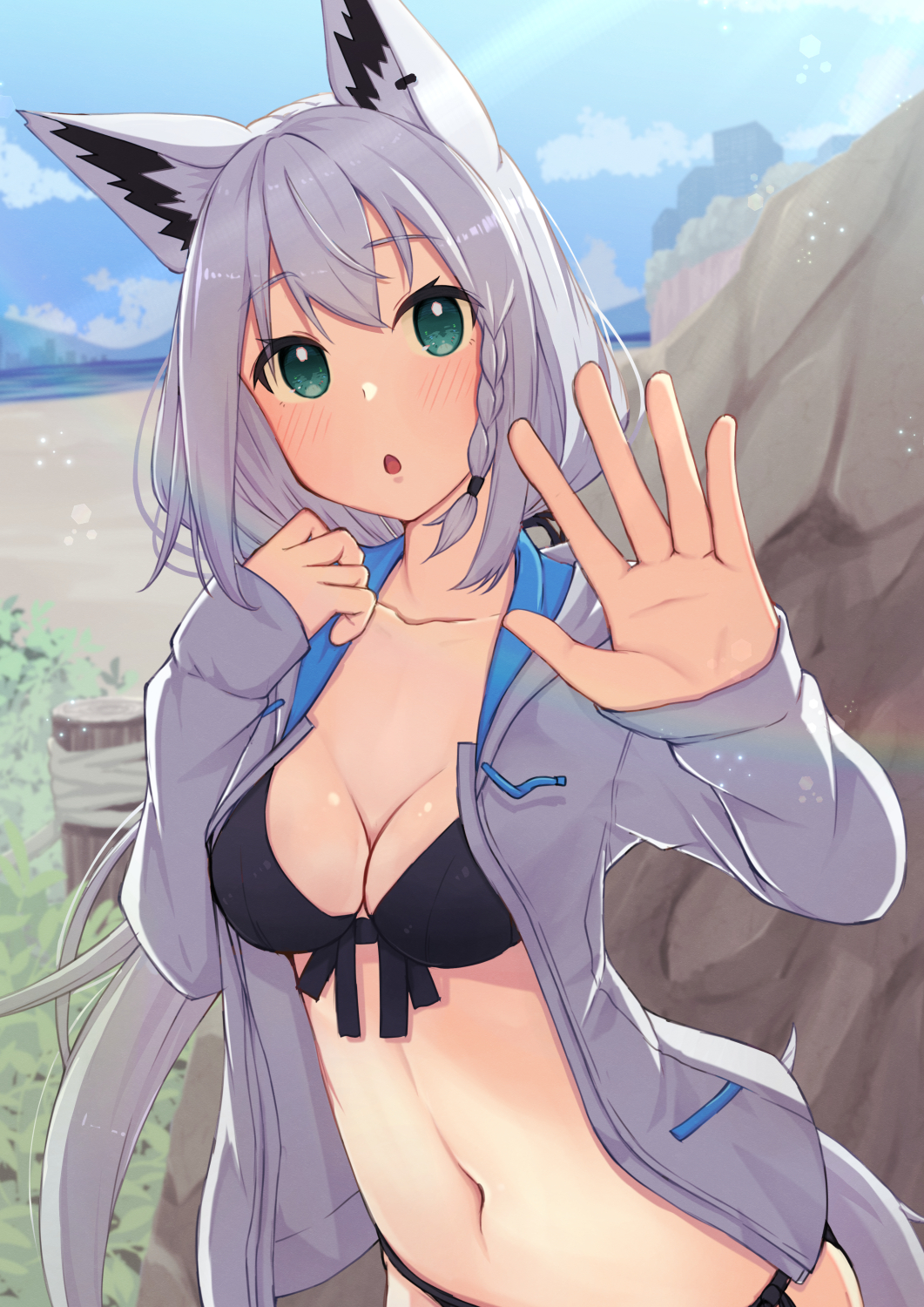 Shirakami Fubuki (Hololive) Rule 34 Image