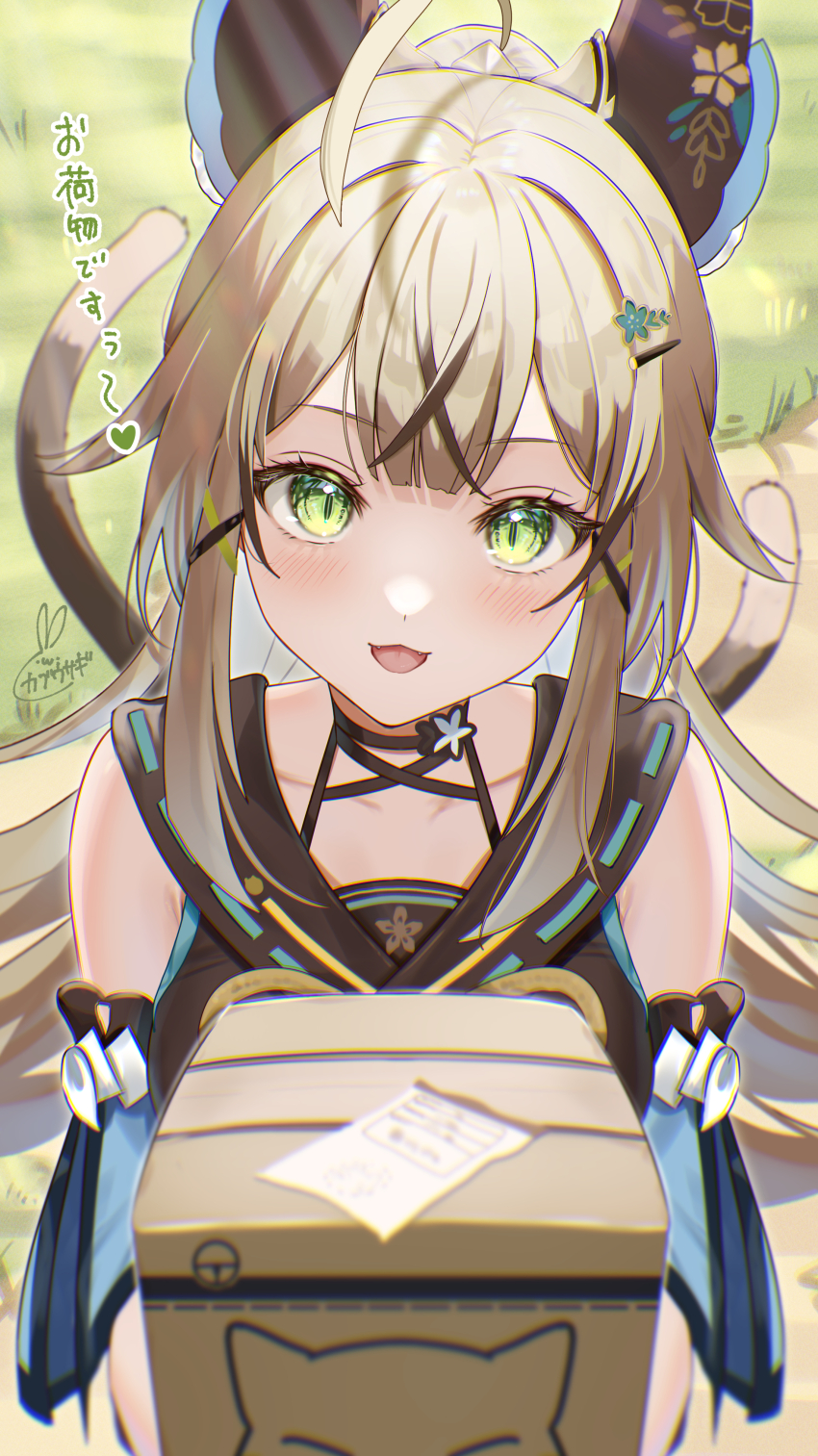 Kirara (Genshin Impact) Rule 34 Image