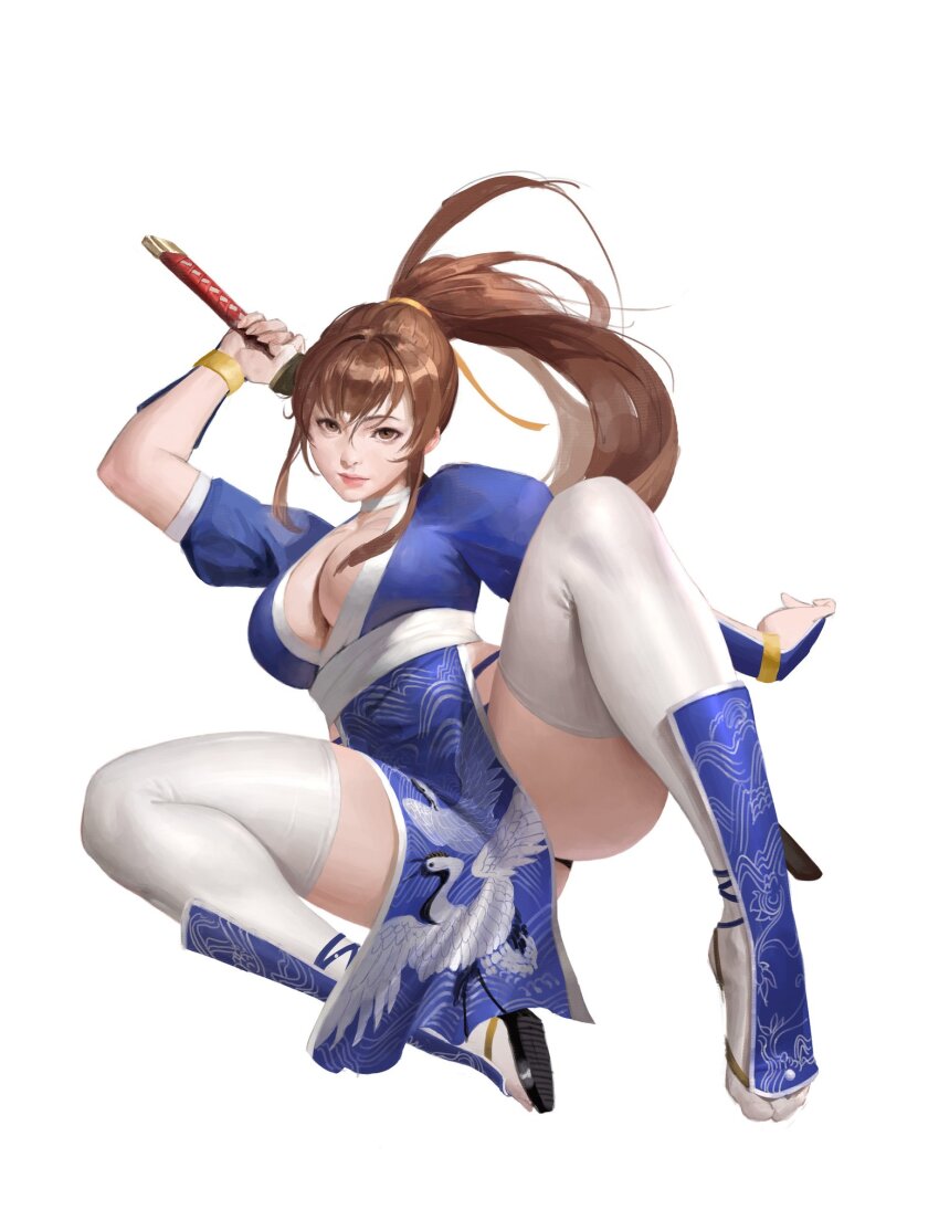 Kasumi (Doa) Rule 34 Image