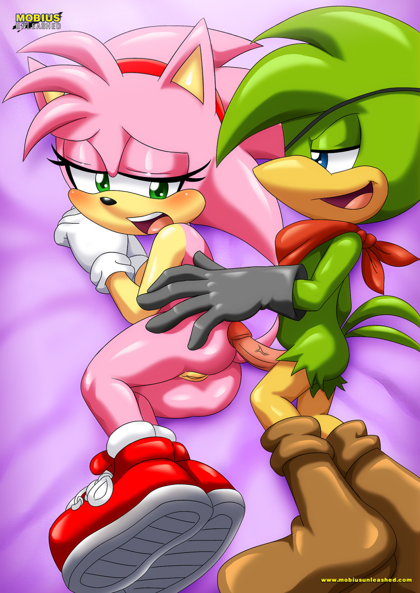 Amy Rose (Archie Comics) Rule 34 Image