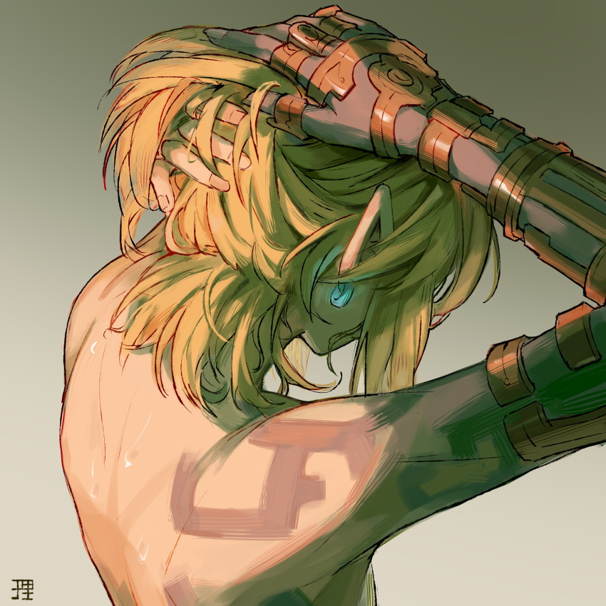 Link (Nintendo) Rule 34 Image