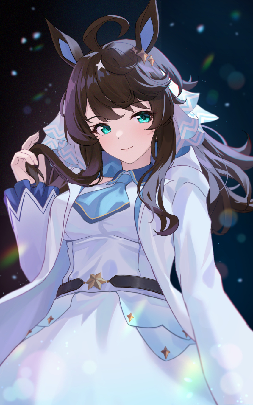 Daring Tact (Umamusume) Rule 34 Image