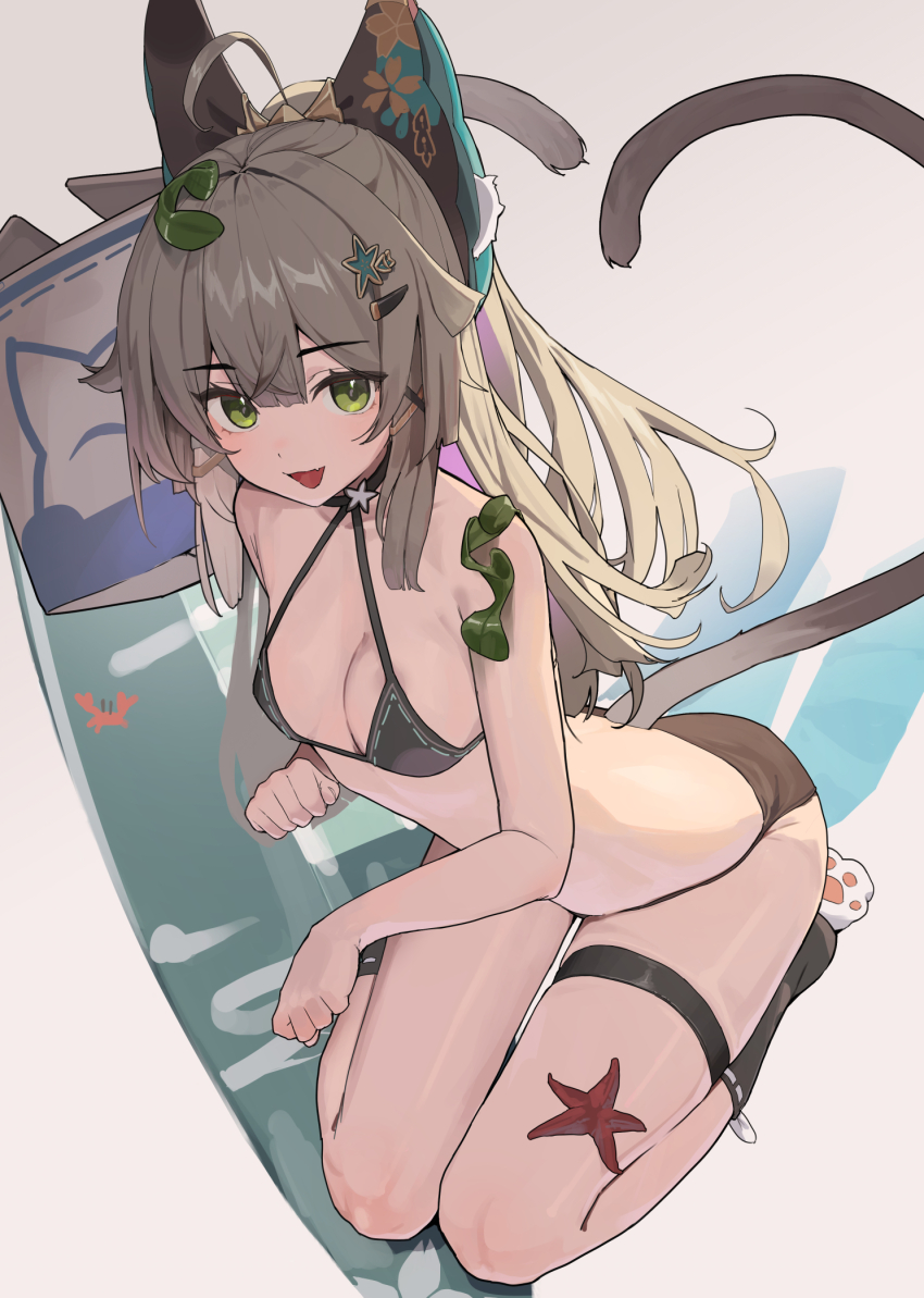 Kirara (Genshin Impact) Rule 34 Image
