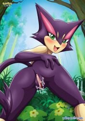 Pokemon (Anime) Rule 34 Image