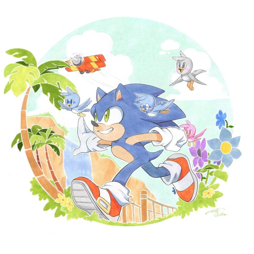 Sonic The Hedgehog (Sonic (Series)) Rule 34 Image