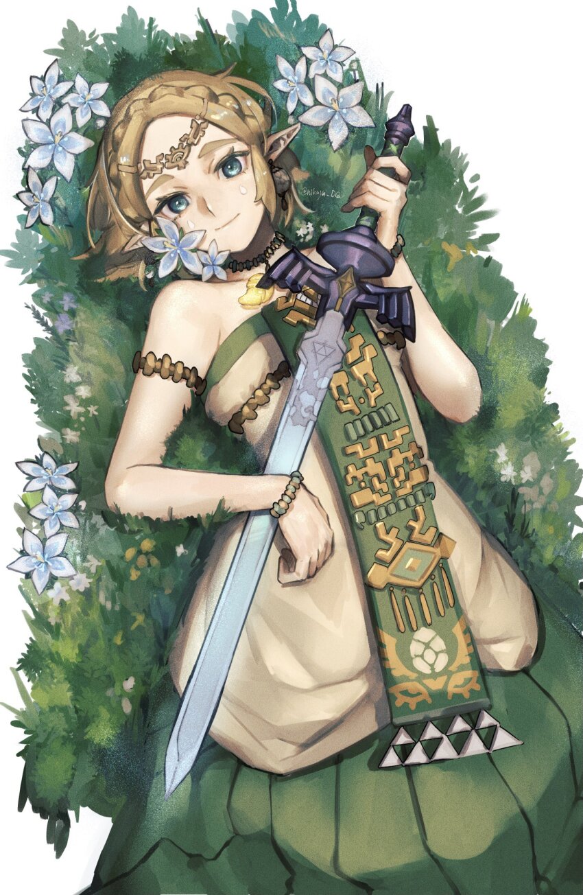 Princess Zelda (Nintendo) Rule 34 Image