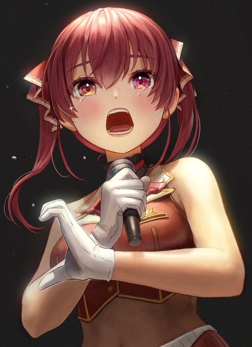 Houshou Marine (Hololive) Rule 34 Image