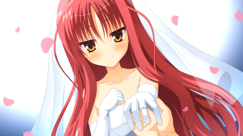 Yarai Miu (Dracu-Riot!) Rule 34 Image