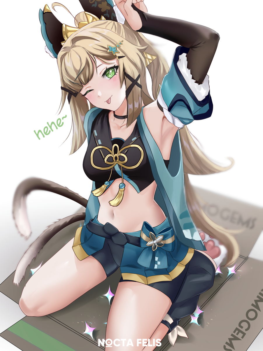 Kirara (Genshin Impact) Rule 34 Image