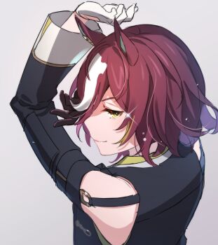 Tanino Gimlet (Umamusume) Rule 34 Image