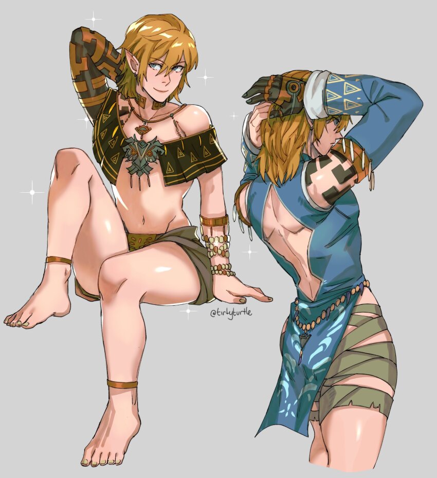 Link (Nintendo) Rule 34 Image