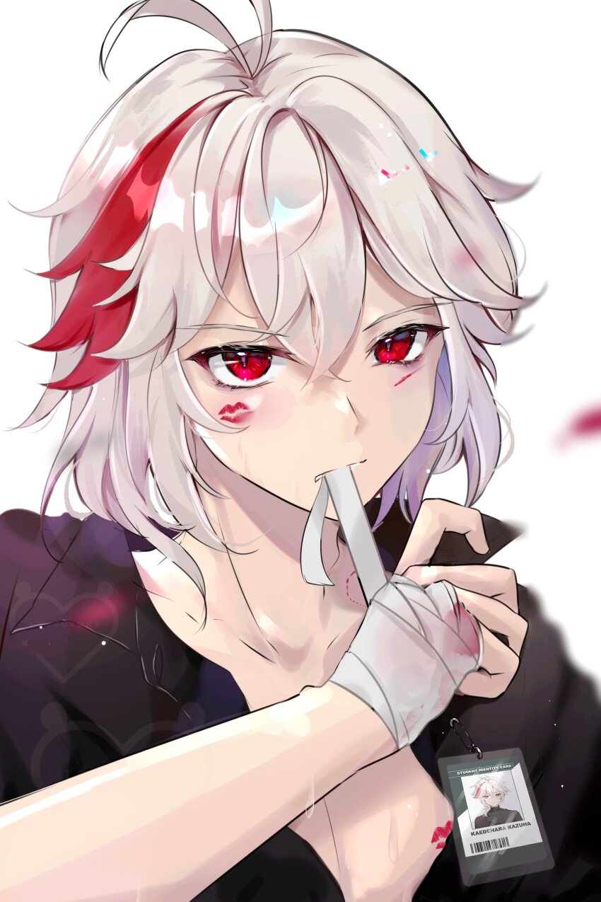Kaedehara Kazuha (Genshin Impact) Rule 34 Image