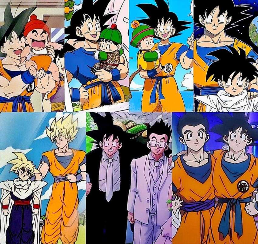 Chi-Chi (Dragon Ball) Rule 34 Image