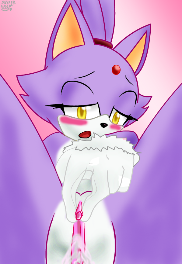 Blaze The Cat (Sonic (Series)) Rule 34 Image