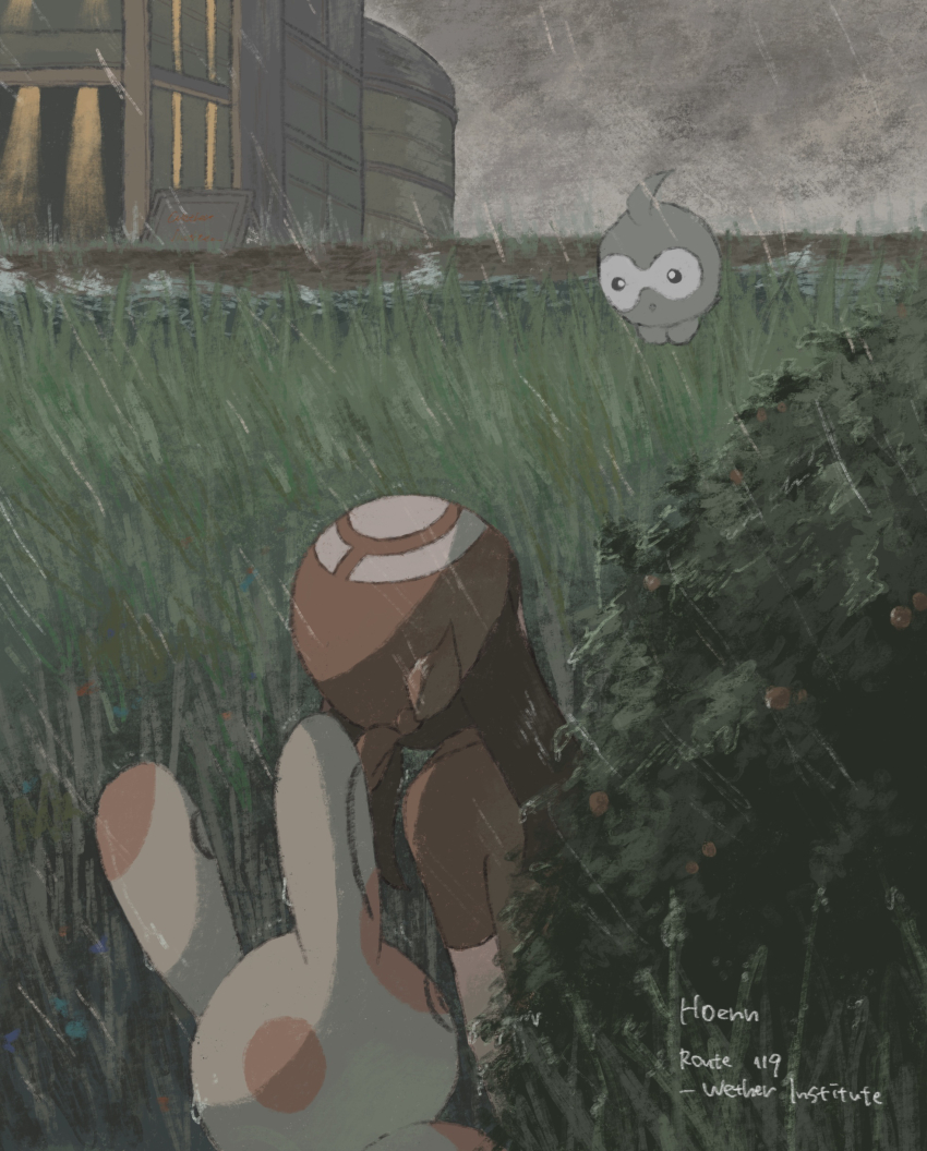 Castform (Nintendo) Rule 34 Image