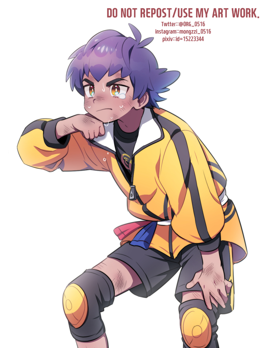Leon (Pokemon) Rule 34 Image