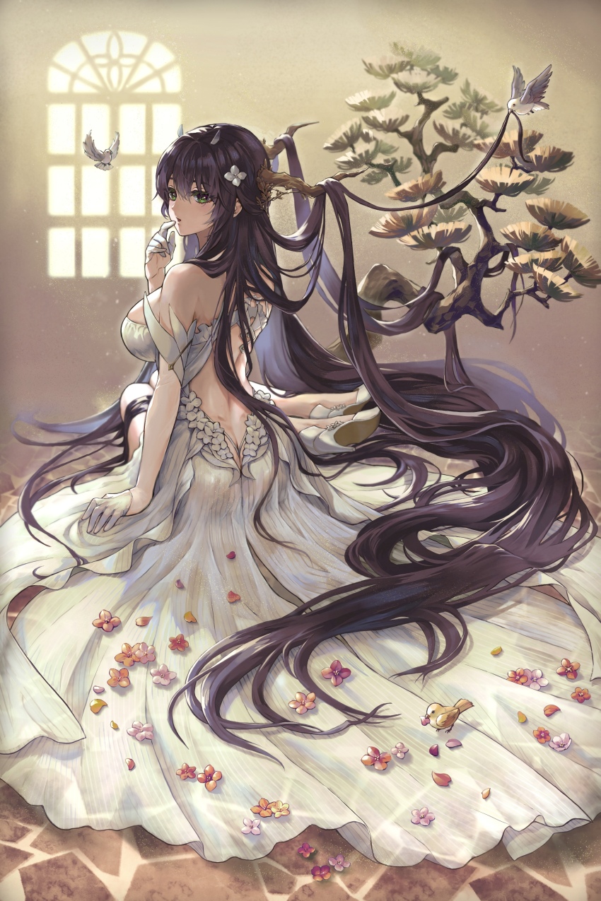 Indomitable (Azur Lane) Rule 34 Image