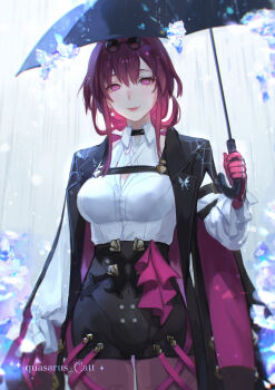 Honkai (Series) Rule 34 Image
