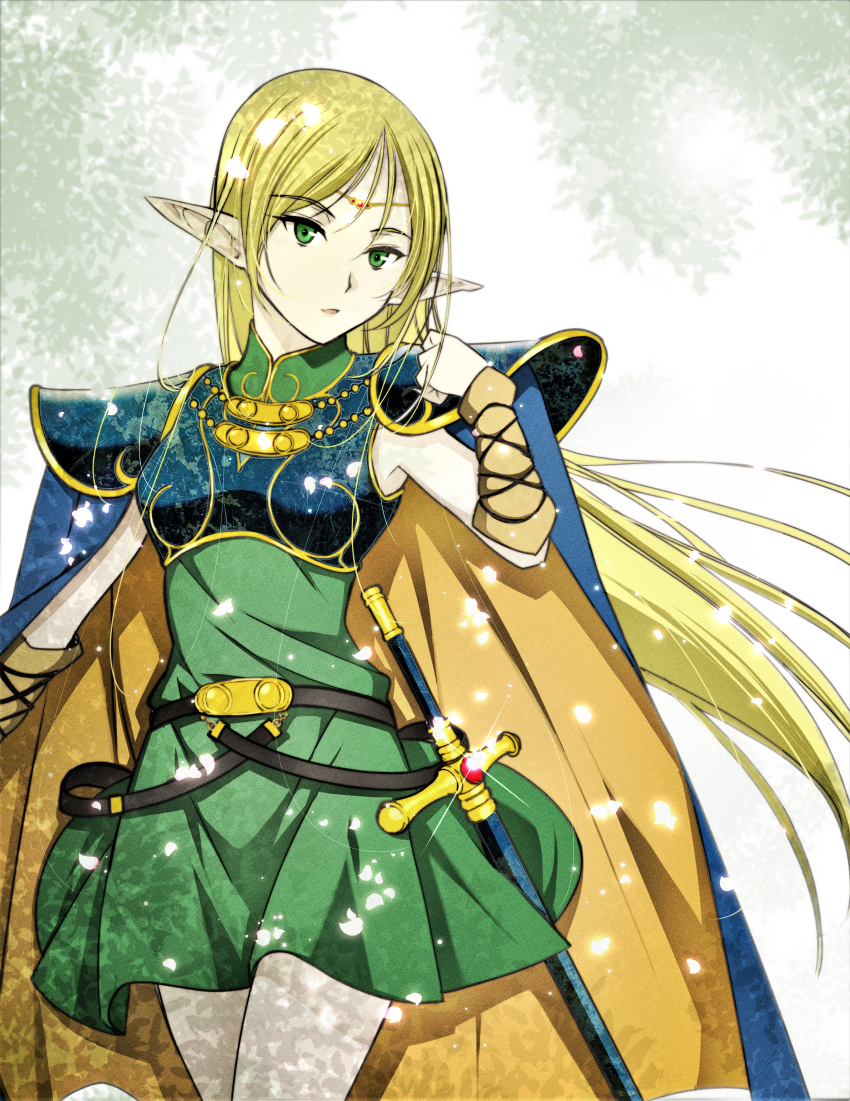 Deedlit (Record Of Lodoss War) Rule 34 Image