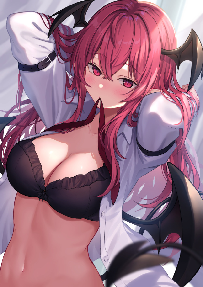 Koakuma (Touhou) Rule 34 Image