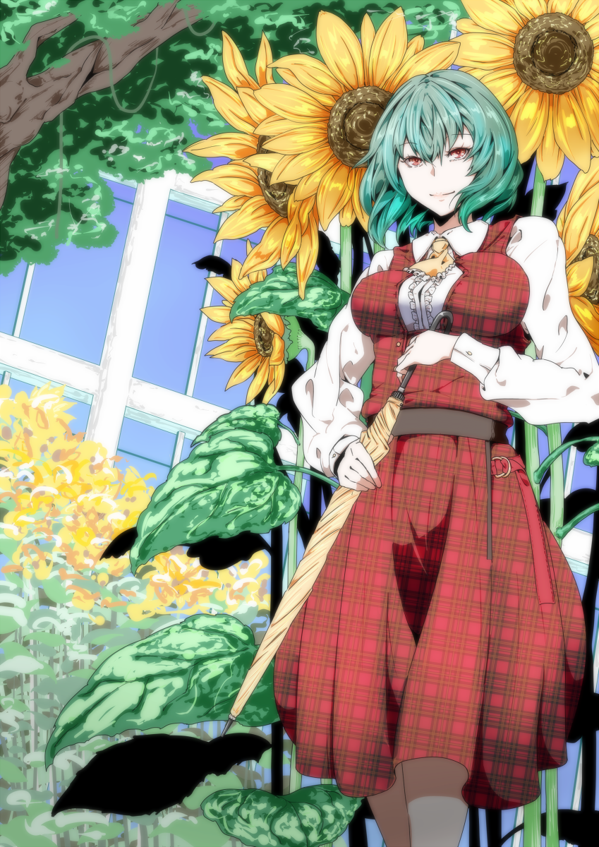 Kazami Yuuka (Touhou) Rule 34 Image