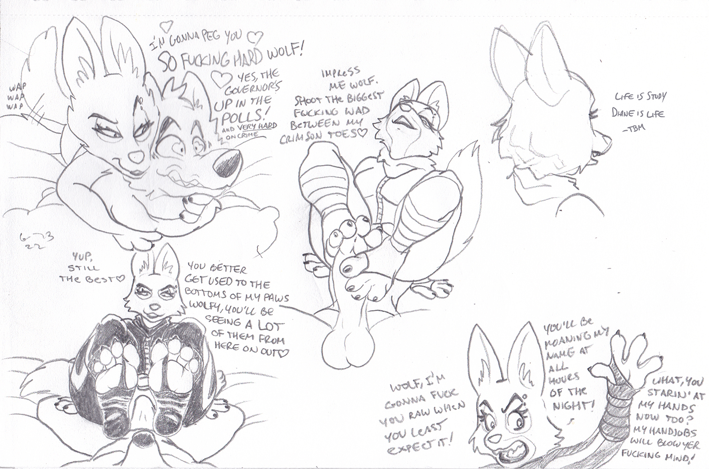 Diane Foxington (Dreamworks) Rule 34 Image