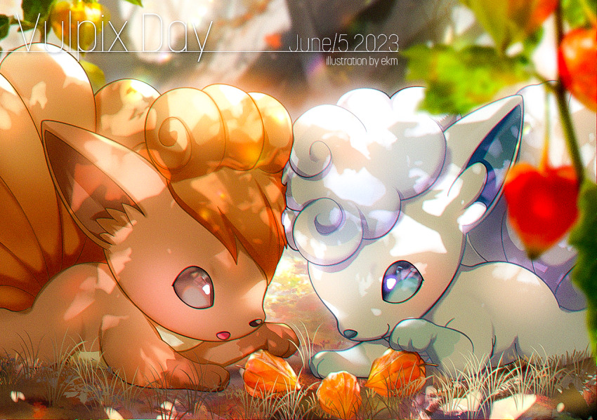 Alolan Vulpix (Nintendo) Rule 34 Image