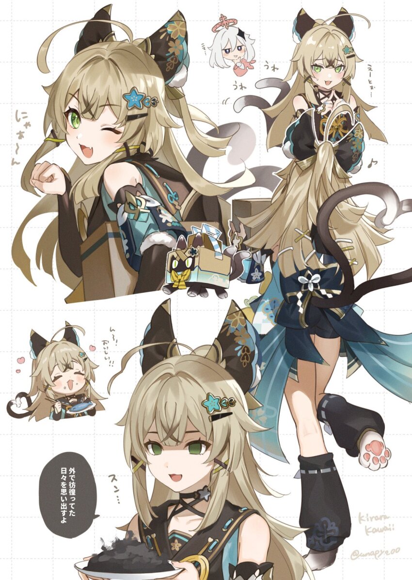 Kirara (Genshin Impact) Rule 34 Image