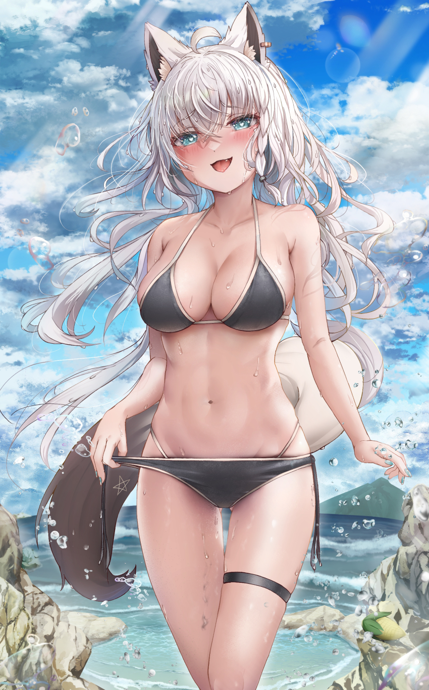 Shirakami Fubuki (Hololive) Rule 34 Image