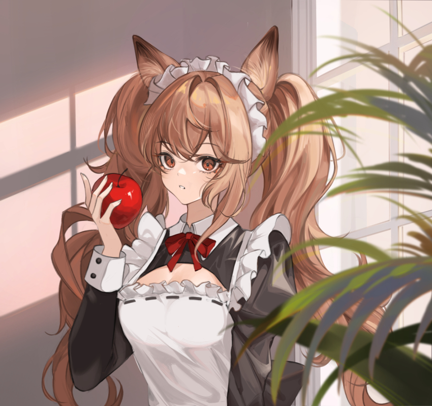 Angelina (Arknights) Rule 34 Image