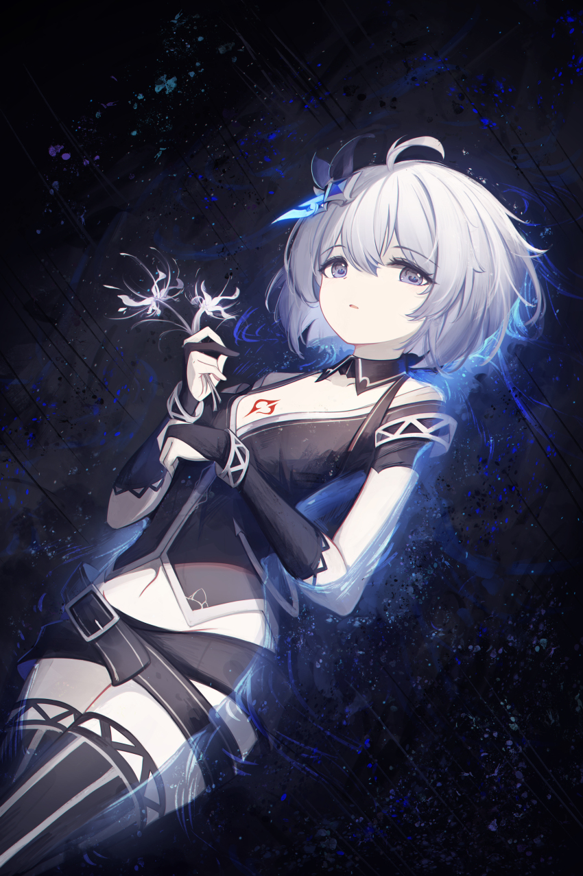 Seele Vollerei (Benghuai Xueyuan) Rule 34 Image