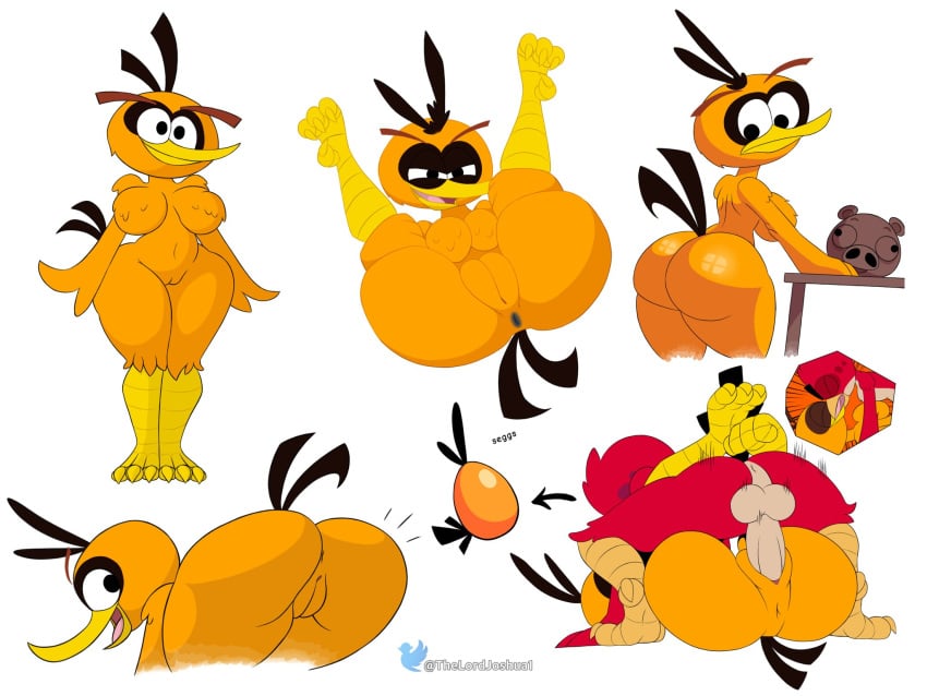 Red (Angry Birds) Rule 34 Image