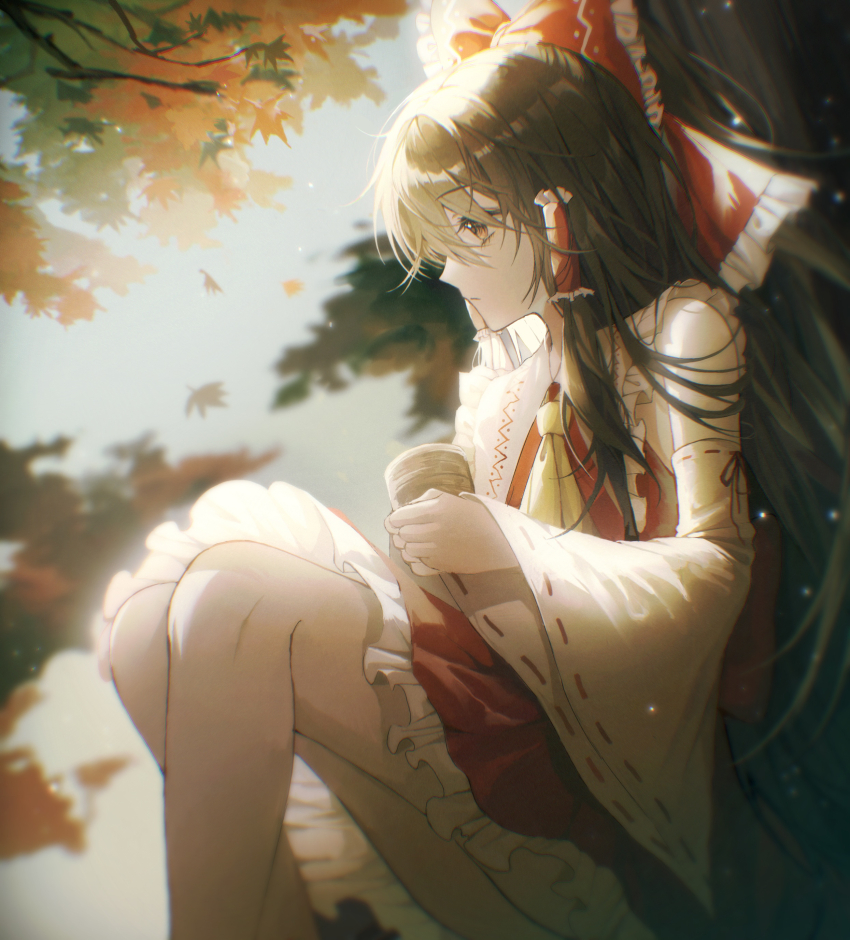 Hakurei Reimu (Touhou) Rule 34 Image