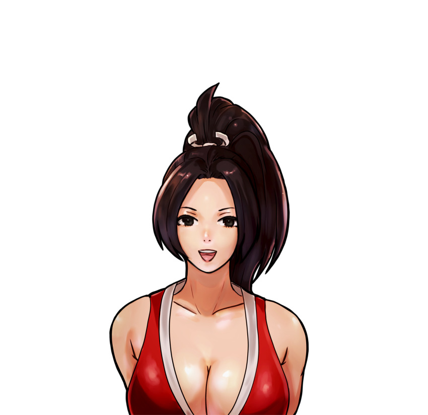 Fatal Fury Rule 34 Image