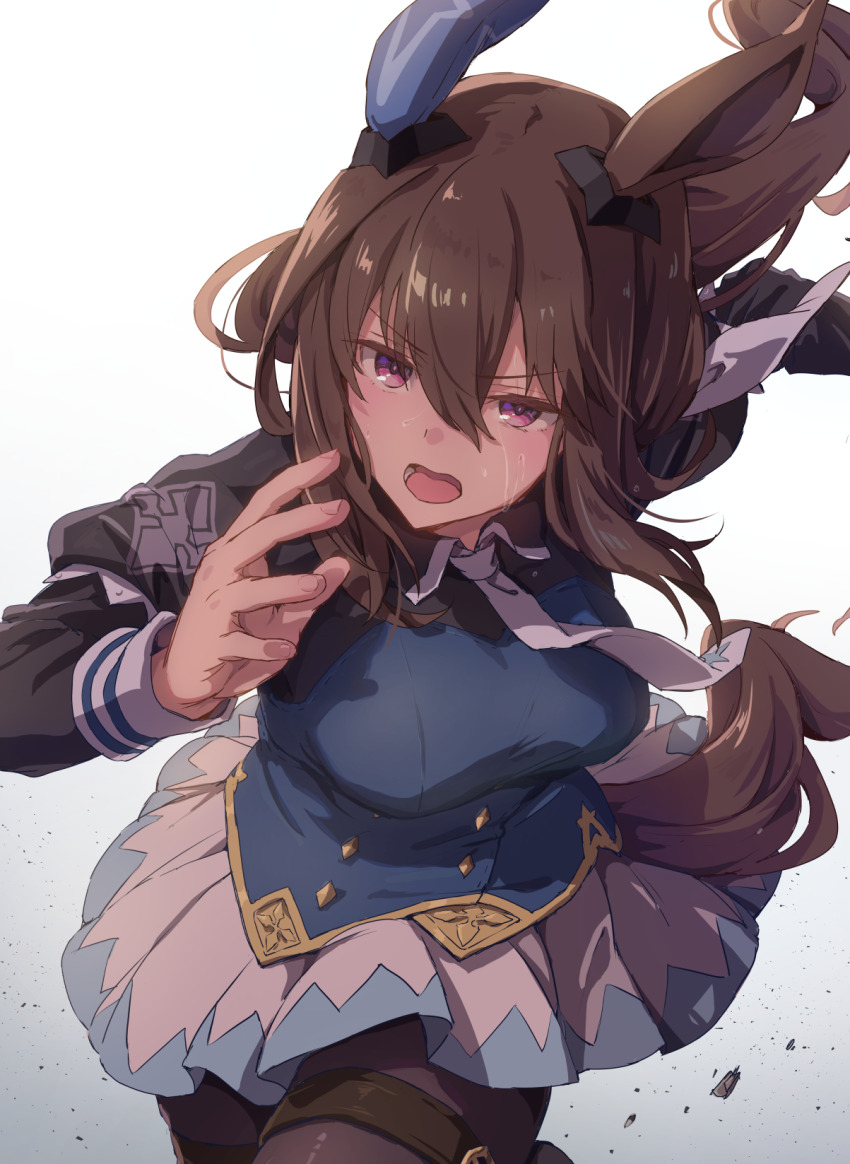 Admire Vega (Umamusume) Rule 34 Image
