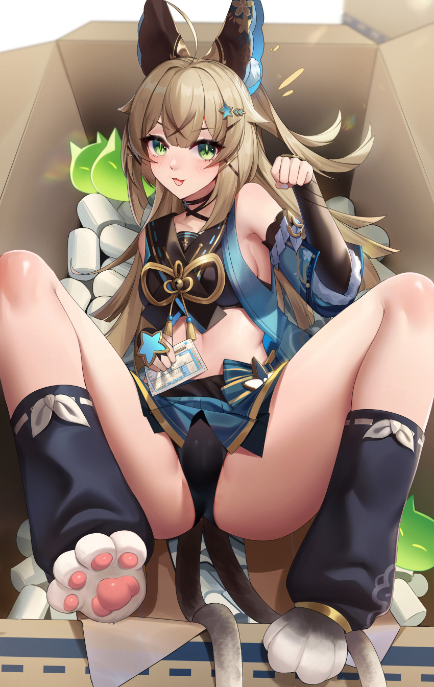 Kirara (Genshin Impact) Rule 34 Image