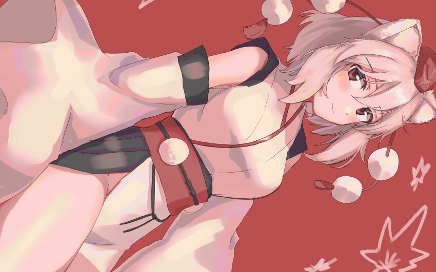 Inubashiri Momiji (Touhou) Rule 34 Image
